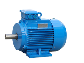 Y系列三相異步電動(dòng)機(jī)