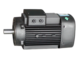 Y2 鋁殼電動(dòng)機(jī)