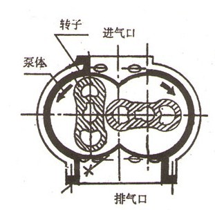 ZJ系列羅茨真空泵的結(jié)構(gòu)